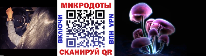 что такое   Каргат  blacksprut ТОР  Псилоцибиновые грибы мицелий 