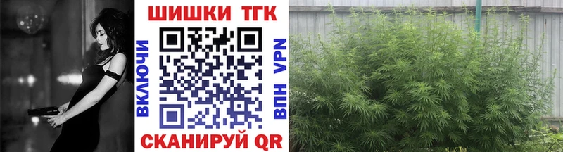 Марихуана SATIVA & INDICA Каргат